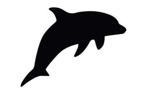 Dolphin Silhouette Silhouette Clip Art Dolphins Tattoo Stencils