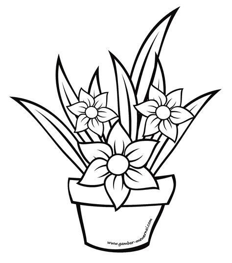 Menggambar sketsa daun bunga melati time lapsedi video ini saya ingin membagikan sebuah video menggambar sketsa daun bunga melati yang menurutku sangat begit. 18+ Gambar Sketsa Bunga Alamanda - Koleksi Bunga HD