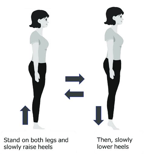 Heel Raises This Exercise Strengthens Gastrocnemius And Soleus Muscles