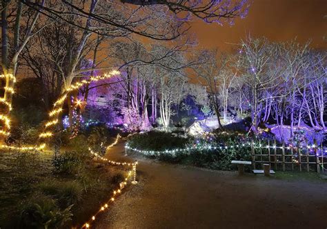 The Enchanted Garden Opens In Tramore Waterford In Your Pocket