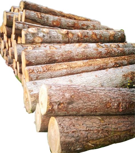 Free Wood Pile Cliparts Download Free Wood Pile Cliparts Png Images
