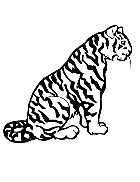 Big Cat Coloring Pages Sketch Coloring Page