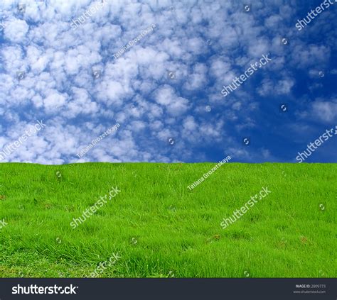 Background Green Meadow And Cloudy Sky Stock Photo 2809773 Shutterstock
