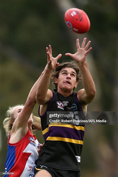 Floyd Bollinghaus Of The Bushrangers Takes A Mark During The Round News Photo Getty Images