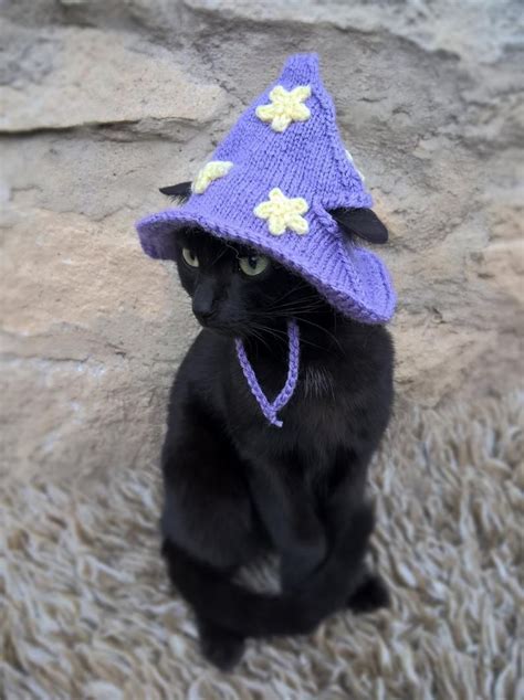 Purple Wizard Cat Hat Wizard Hat For Cat Wizard Hat For Etsy Pretty