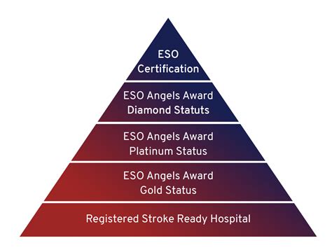 Stroke Unit And Stroke Centre Certification European Stroke Organisation
