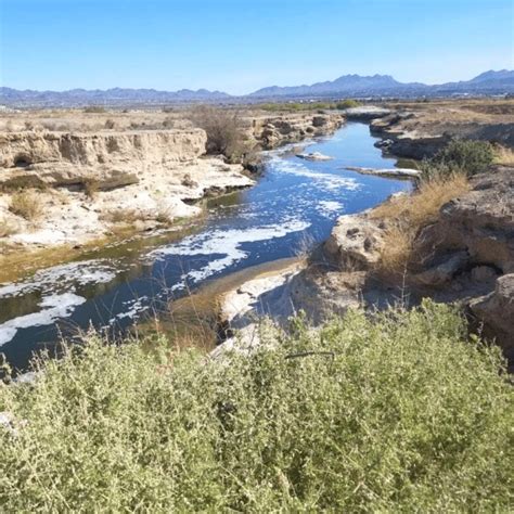 Clark County Wetlands Park Free To Do