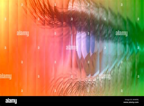 Human Eye Hi Res Stock Photography And Images Alamy