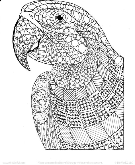 51 Coloring Page Zentangle | Peacock coloring pages, Detailed coloring pages, Abstract coloring ...
