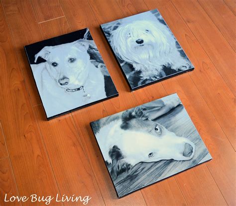 With our wide range of original artworks for sale, you need look no further. Love Bug Living: DIY Pet Photo Canvas