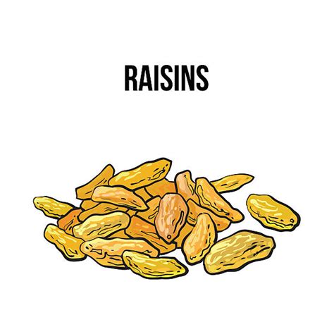 Raisin Clip Art Vector Images And Illustrations Istock