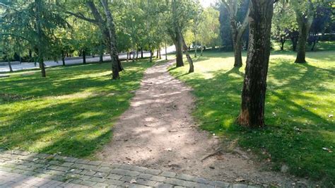 Logroño Adecuará Una Treintena De Caminos Del Deseo En Sus Parques