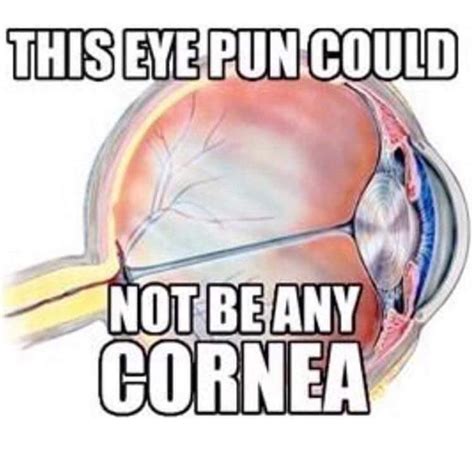 48 Hilarious Eye Puns Punstoppable 🛑