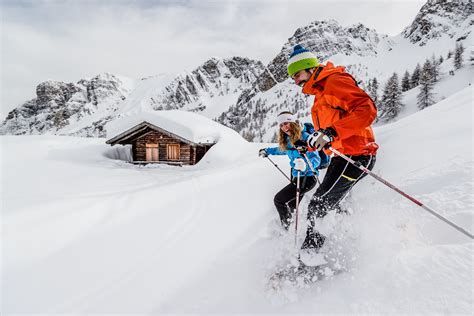 La Star Dei Fiori Alpini