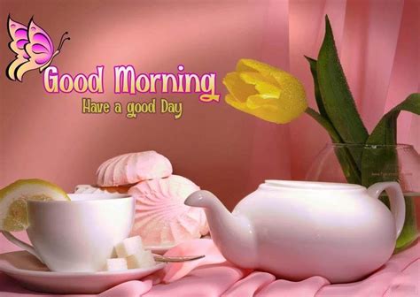 Good Morning Images Wallpapers Wallpaper Cave