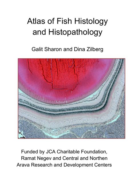 Atlas Of Fish Histology And Histopathology