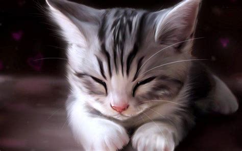 Cute Cats Sleep Wallpapers Hd Desktop And Mobile Backgrounds
