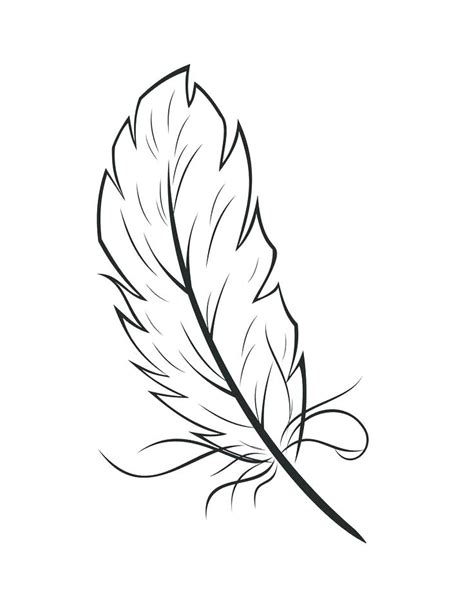 Feather Drawing At Getdrawings Free Download