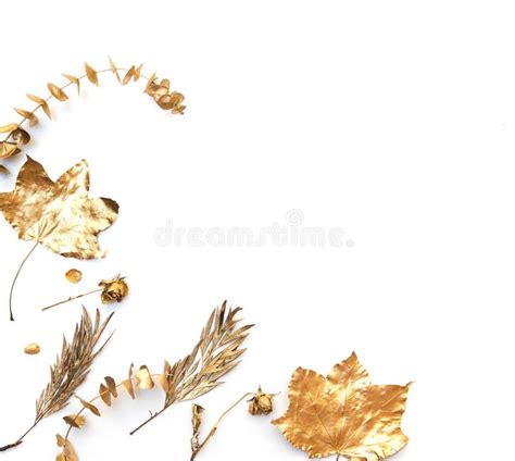 Gold Autumn Falling Leaves Isolated On White Background Stock Image