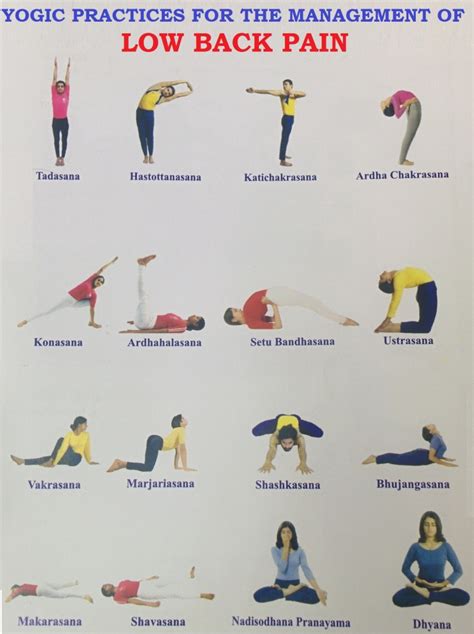 Yoga Poses For Intense Back Pain Yoga Poses