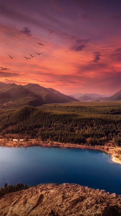 Lake 4k Wallpaper Sunset Mountains Landscape Birds