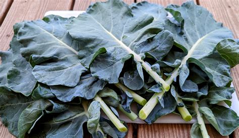 Cheesy Broccoli Leaf Soup Use Up The Whole Plant