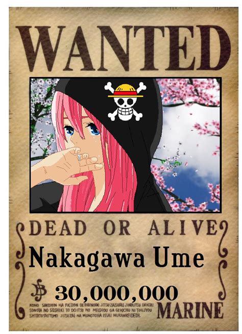 Here you can download the template to make your own one piece wanted poster! One piece: Ume's first wanted poster by monkeyking-nee ...