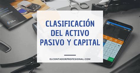 Clasificación Del Activo Pasivo Y Capital Contador Profesional