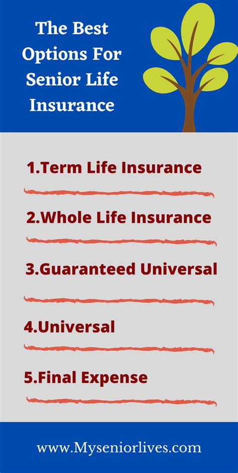 Life Insurance Over 80 Blog Guide Life Insurance For Seniors Over 80