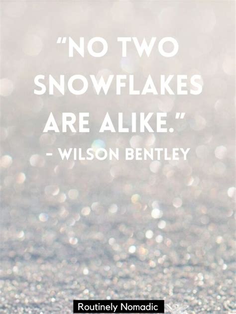 Snowflake Quotes 110 Best Snowflake Sayings Routinely Nomadic