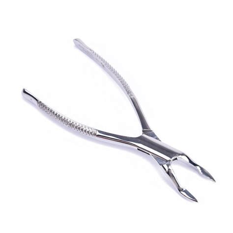 Root Forceps 32 Dental Extracting Roots Pick Forcep Tooth Extraction