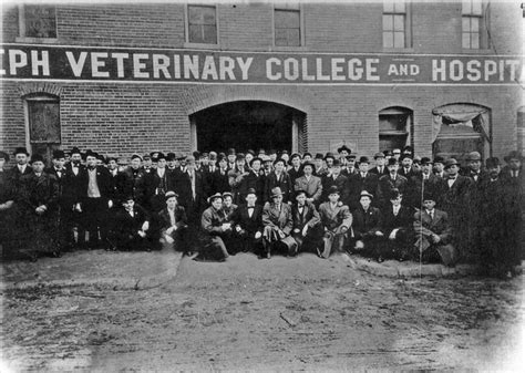 College Images St Joseph Veterinary College History College Of