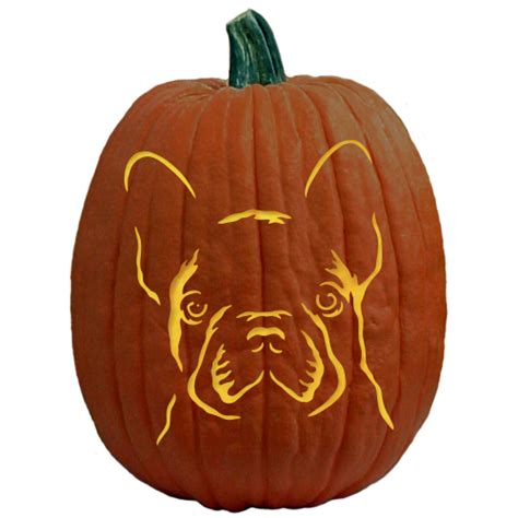 French Bulldog Free Pumpkin Carving Patterns Pumpkin Carving