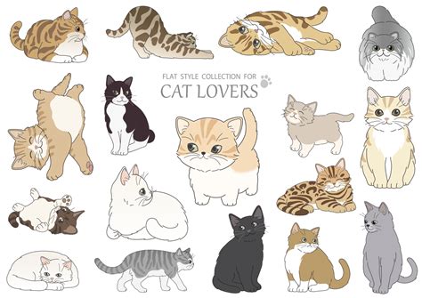 49 Breeds Of Cats Chart Svg  Png 1620
