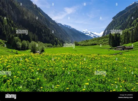 Austrian Landscape With Meadows And Mountains In The Springtime