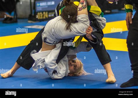 Brazilian Jiu Jitsu Competition Nordic Open 2017 Stock Photo Alamy