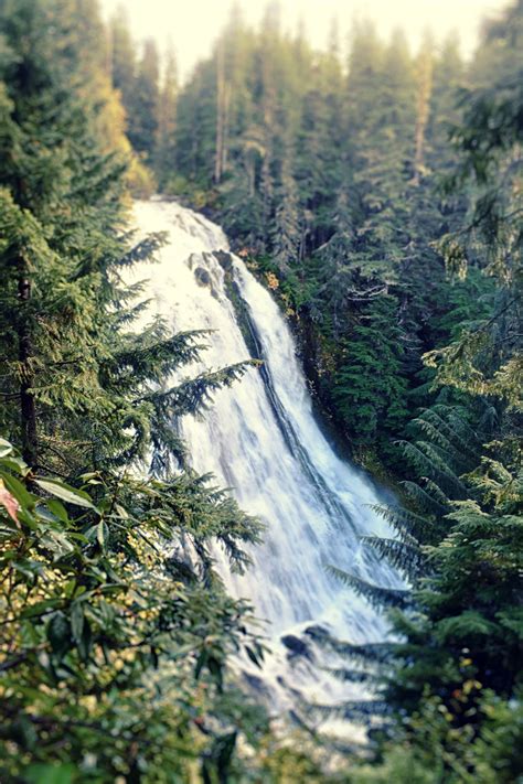 Hiking To Salt Creek Falls And Diamond Creek Falls In Oregon