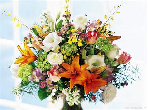 Trovare una buona immagine di buon compleanno con dei fiori può aiutare a rendere ancora più speciale la giornata queste erano le migliori immagini di buon compleanno con fiori trovate sul web! Buon Compleanno Paola!! - Forum di Finanzaonline.com