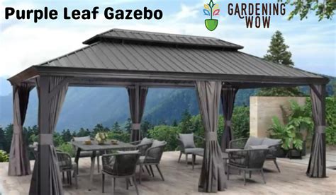 Royal Retreat The Purple Leaf Gazebo By Gardening Wow Medium