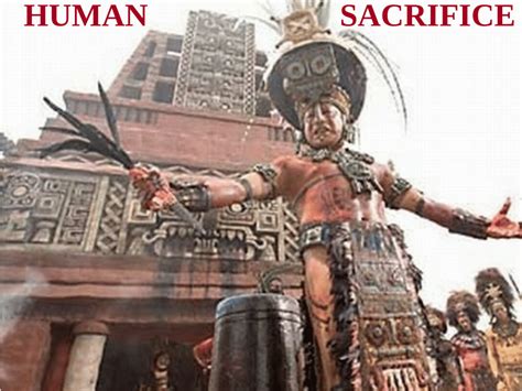 Pdf Maya Human Sacrifice