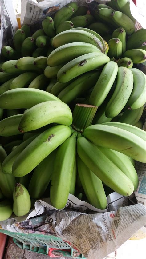 Kepadat an populas i bdb. Warisan Petani: Tanaman Pisang 6 : Pokok Pisang Berangan