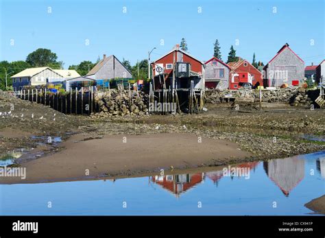 Fish Sheds At Seal Cove Stock Photo Alamy