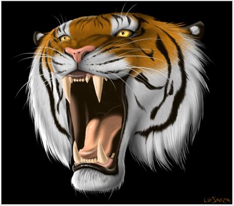 Beautiful Tiger Tigers Fan Art 5092219 Fanpop