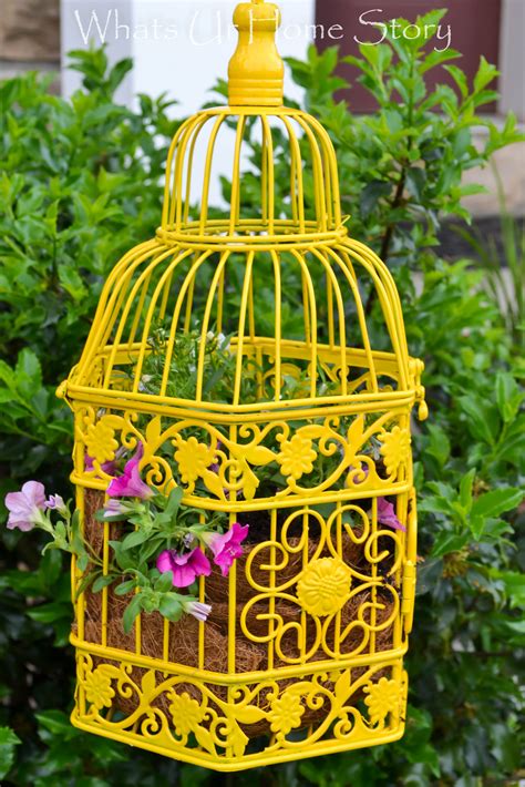 Bird Cage Planter Whats Ur Home Story