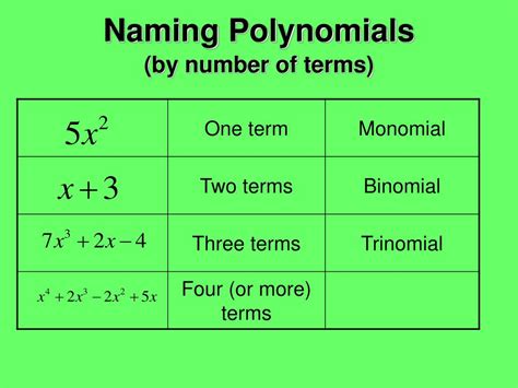 Ppt Classifying Polynomials Powerpoint Presentation Free Download Id 3762538