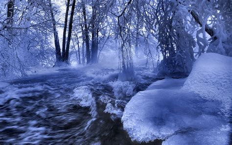 Masaüstü Ağaçlar Orman Su Doğa Kar Kış Şube Buz Dalgalar Don