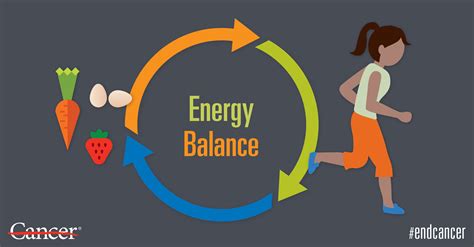 Energy Balance What Is It And How Can You Achieve It Md Anderson