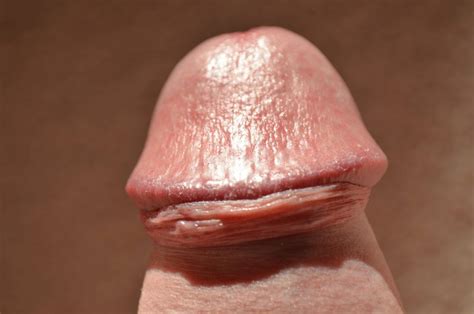 Uncircumcised Penis Ejaculation