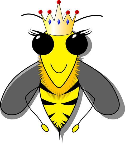 Queen Bee Bumble Bee Art Bee Art Cartoon Bee