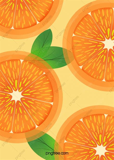 Hand Painted Simple Orange Cool Summer Fruit Fresh Orange Fruit